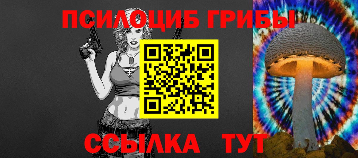 Псилоцибиновые грибы прущие грибы Клинцы